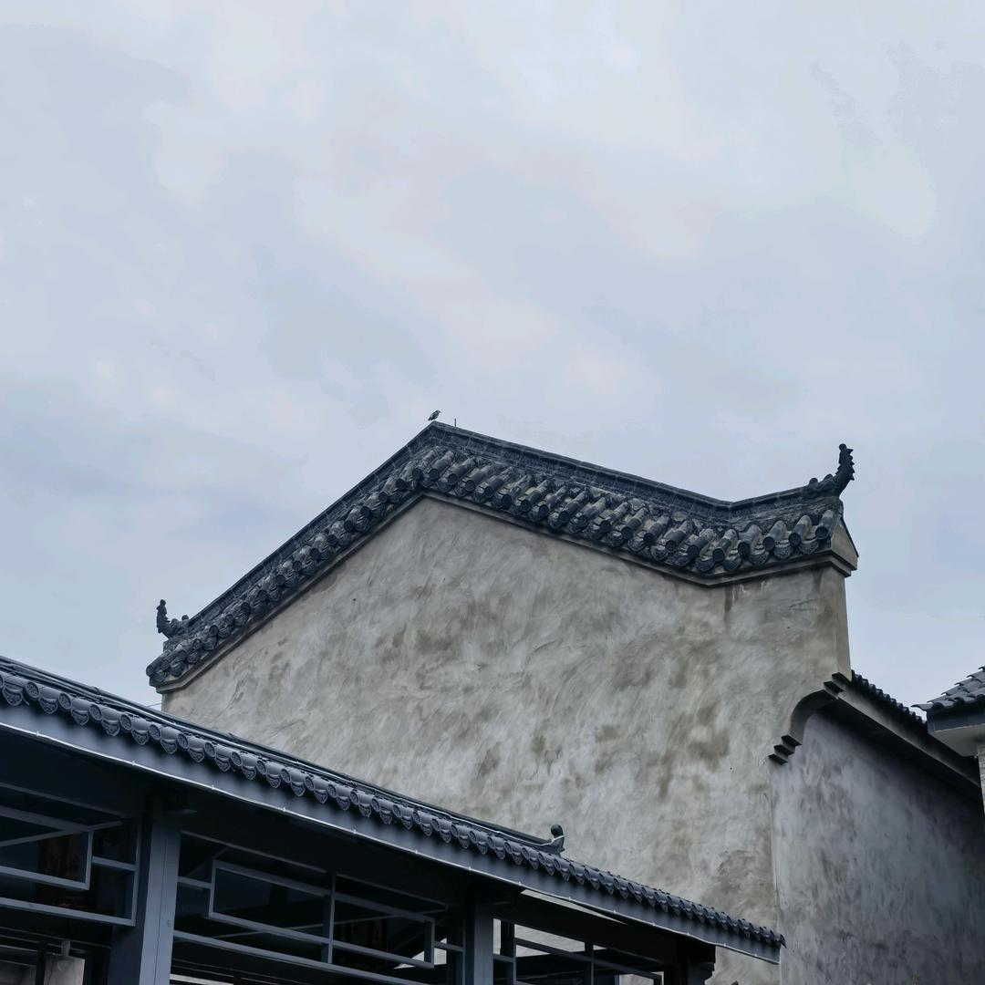 一只
