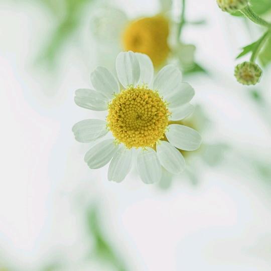 ༃༇时间都去哪了༇༃