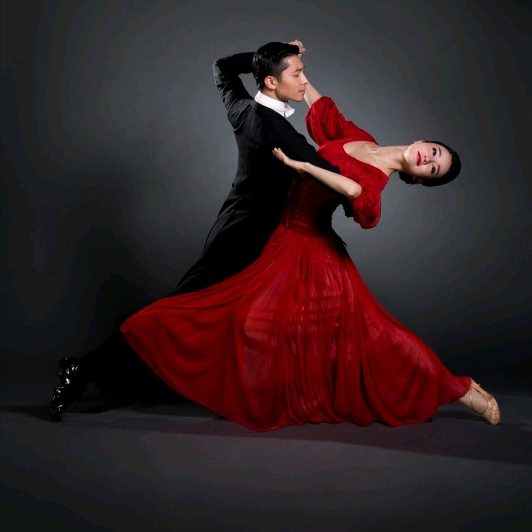 💃舞影随风