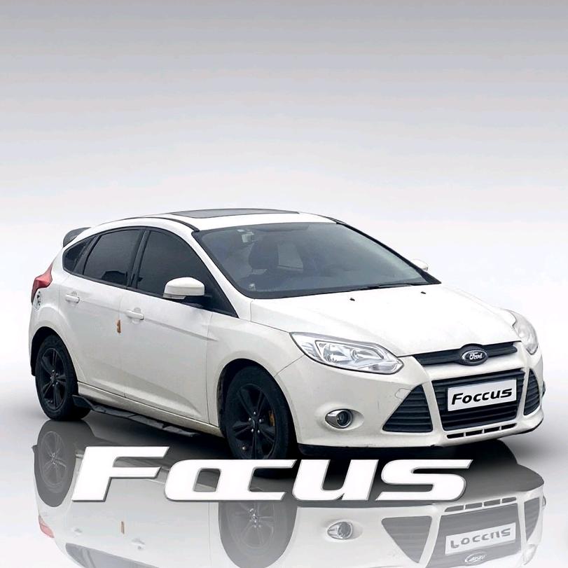 开洋葱的福克斯