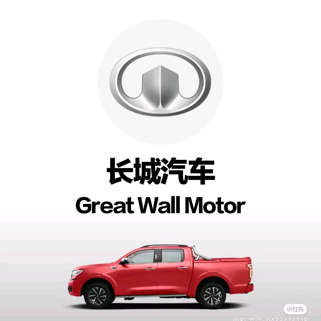 临沧益华长城皮卡