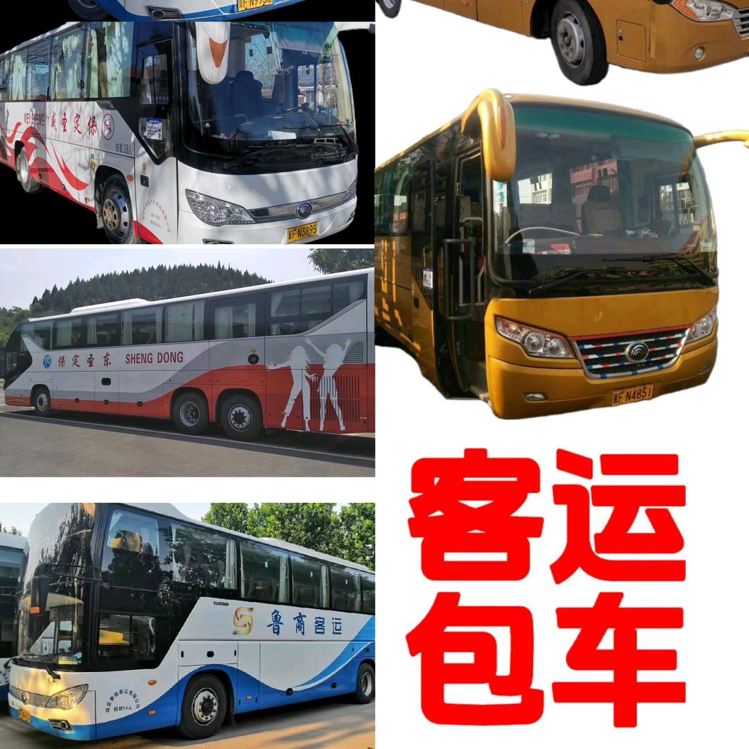 客车租赁高阳领哥