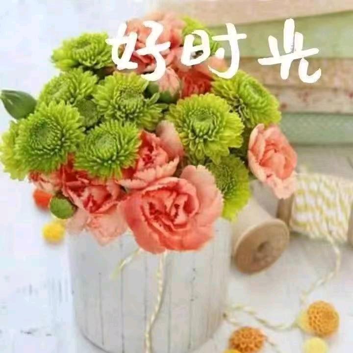 @时光若止&