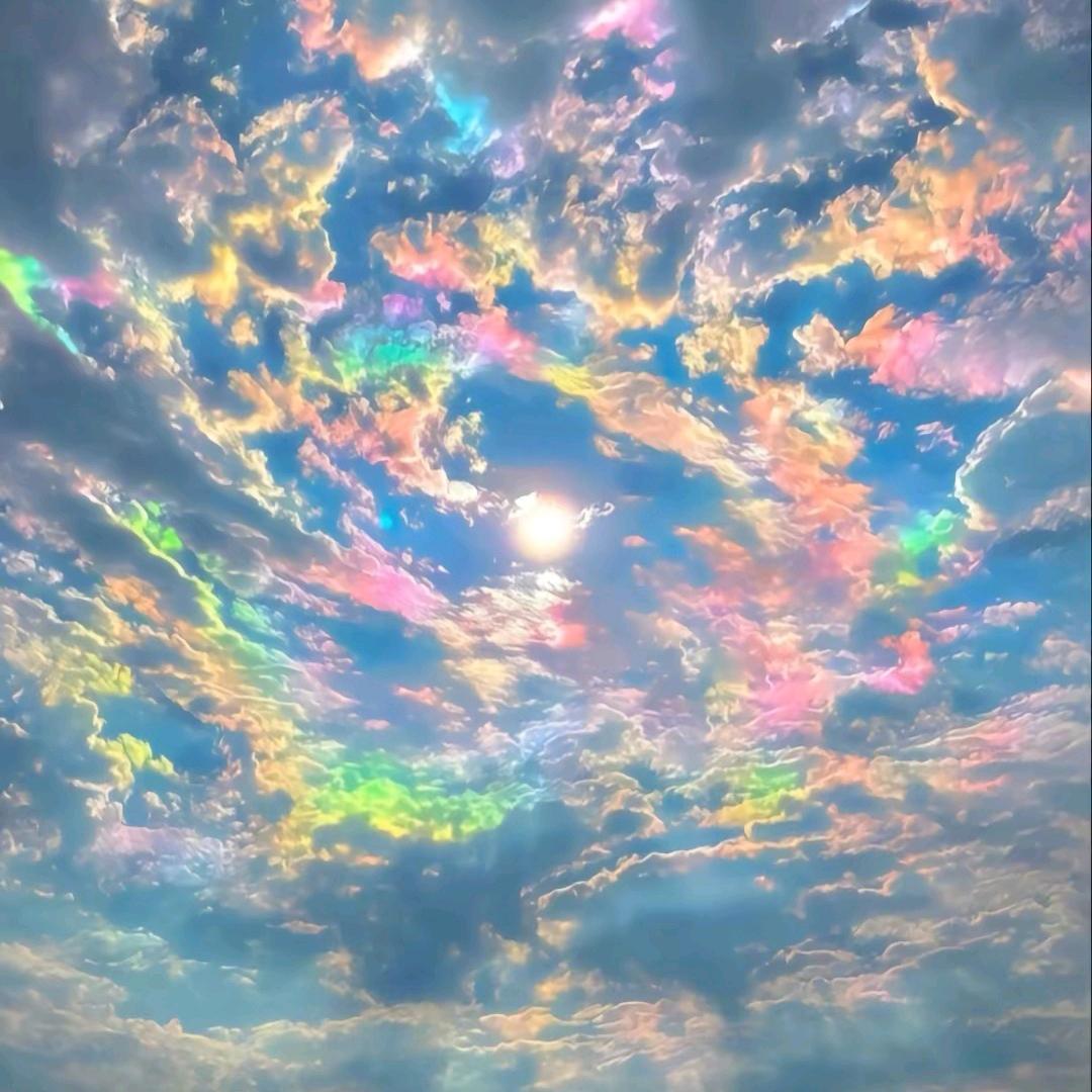 小龙拍车日记