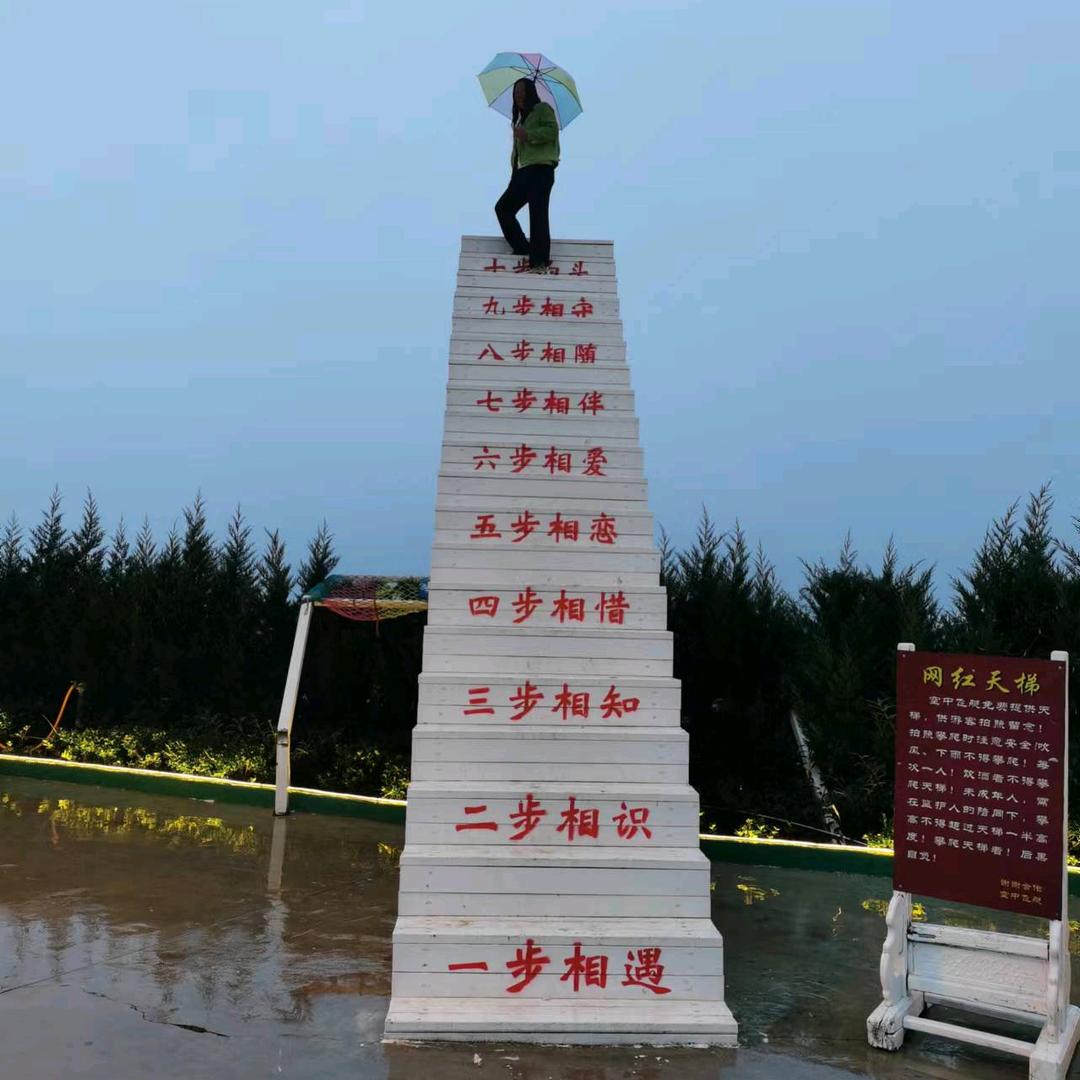 开心芙蓉