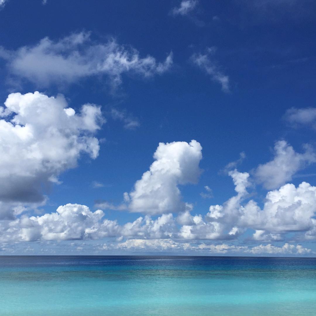 @吃喝玩，履带吊租赁？津