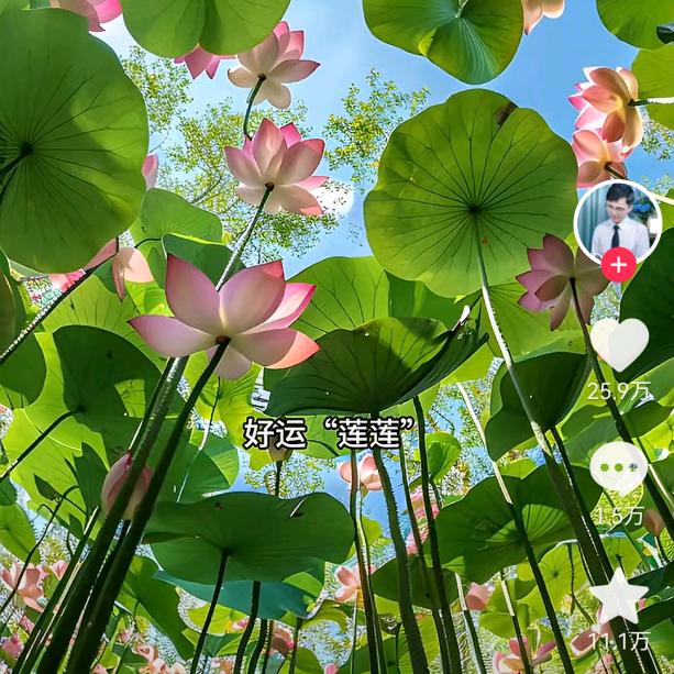 幸福