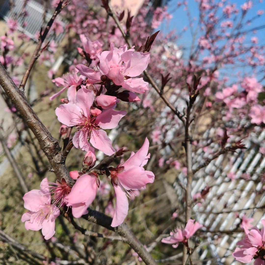 ╰ℒᎭℯ⃝勿扰᭄ོ࿆