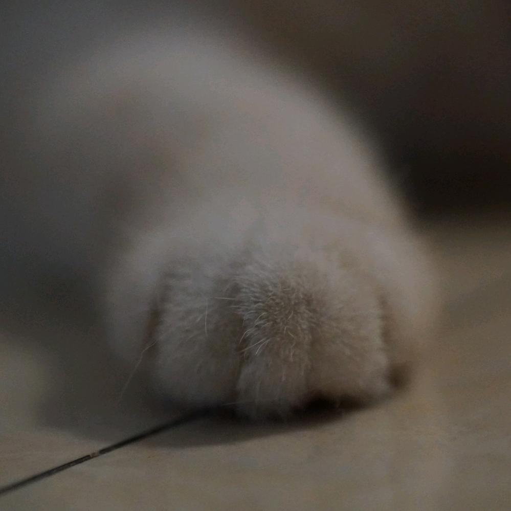 起名字真的太难