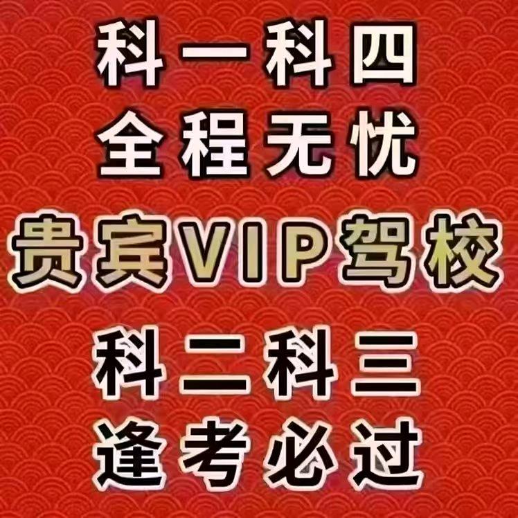 文盲驾考VIP罗教练