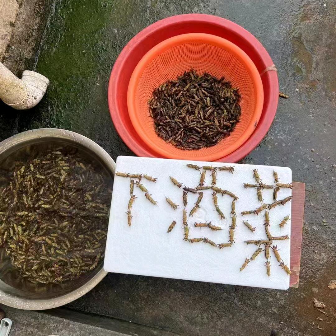 地方特色下酒