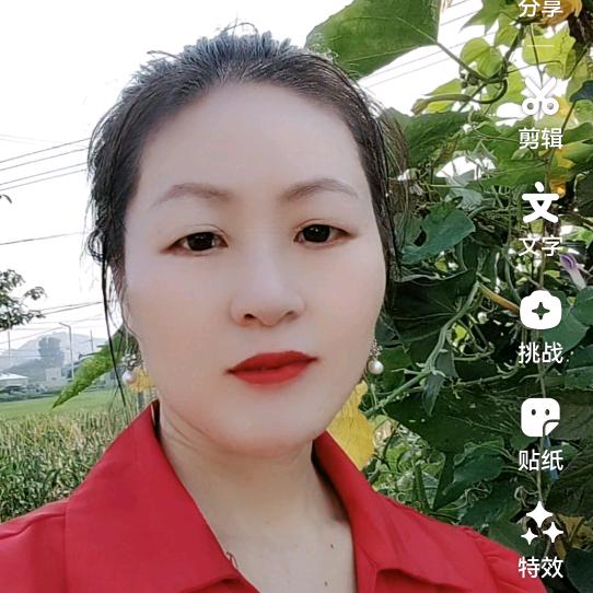 “梦想启航。