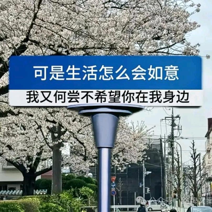 千缘号