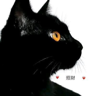 小跳百货✌️