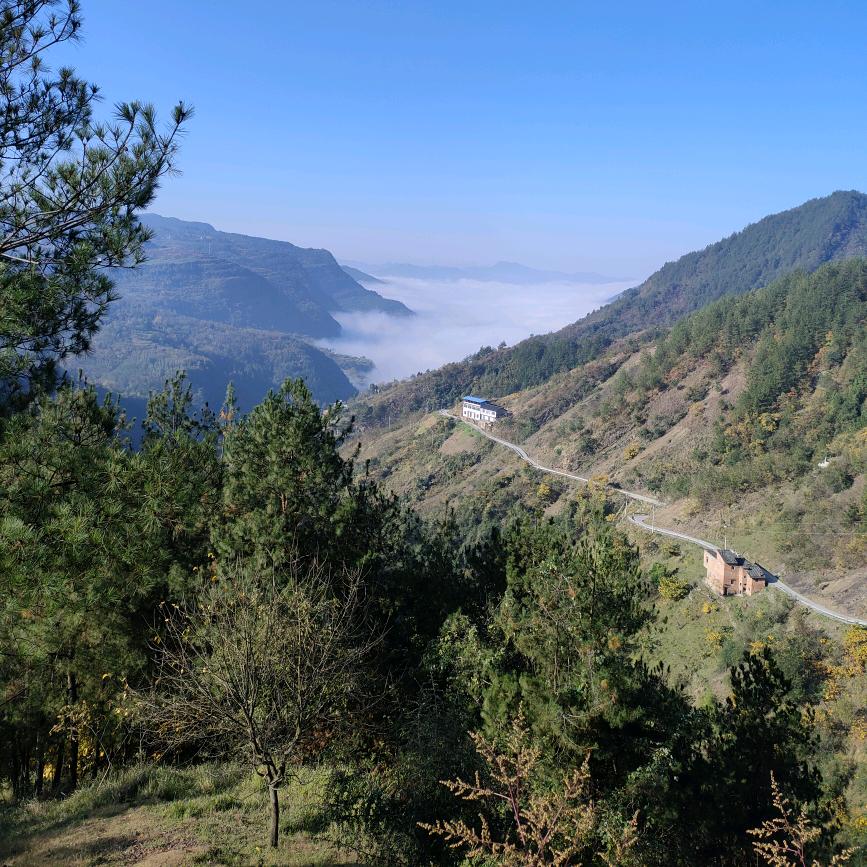 专搞淡扯扯