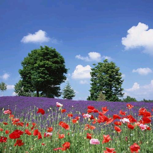 改变不了别人。那就改变自己。🦋