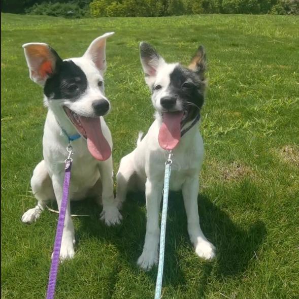 玄冥二老（重生版）