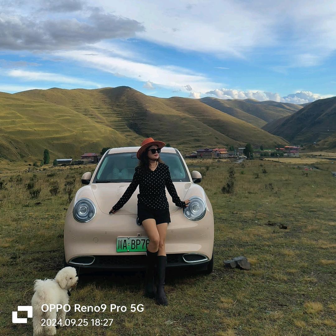 崇州西江火滋味柴火鸡