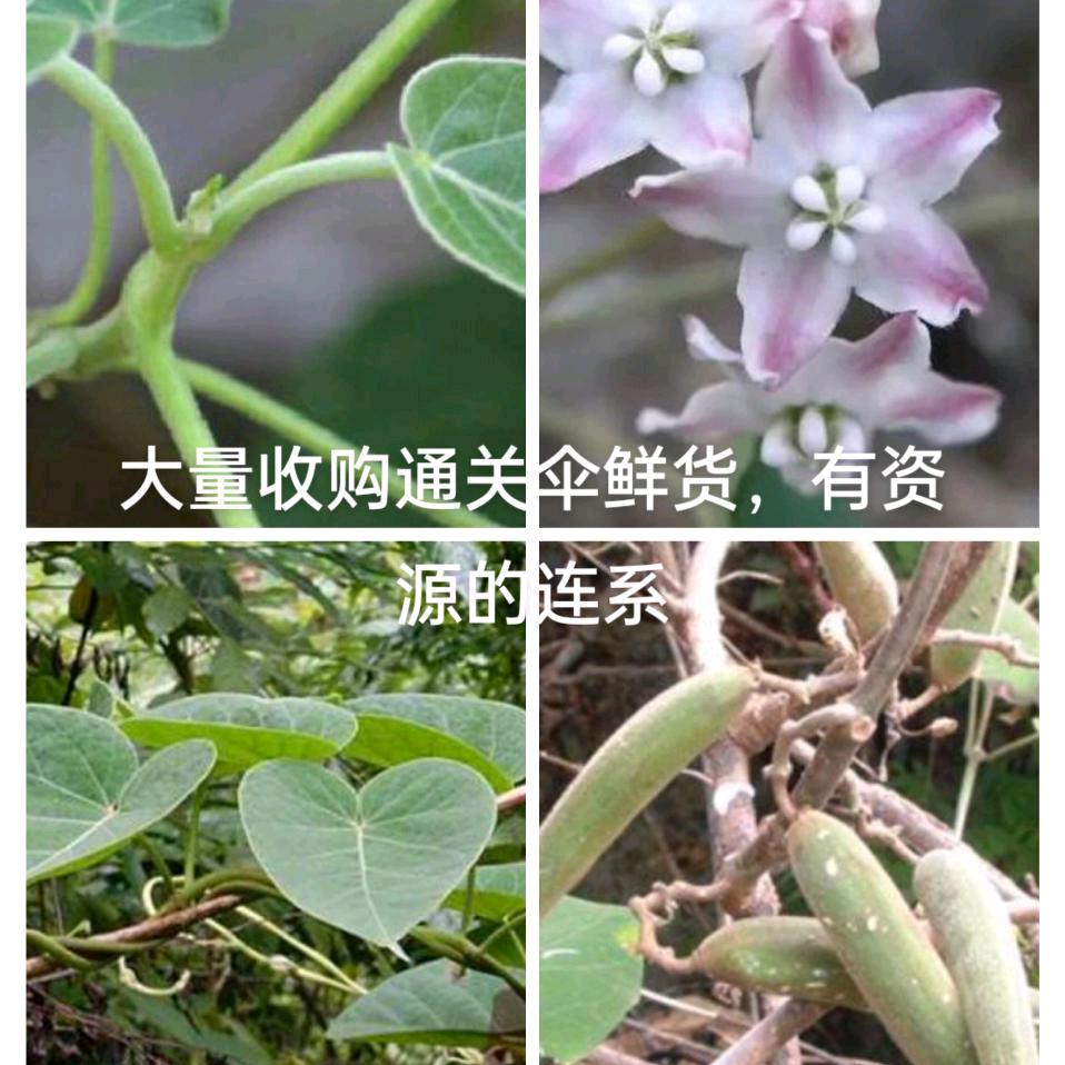 农业产品收购