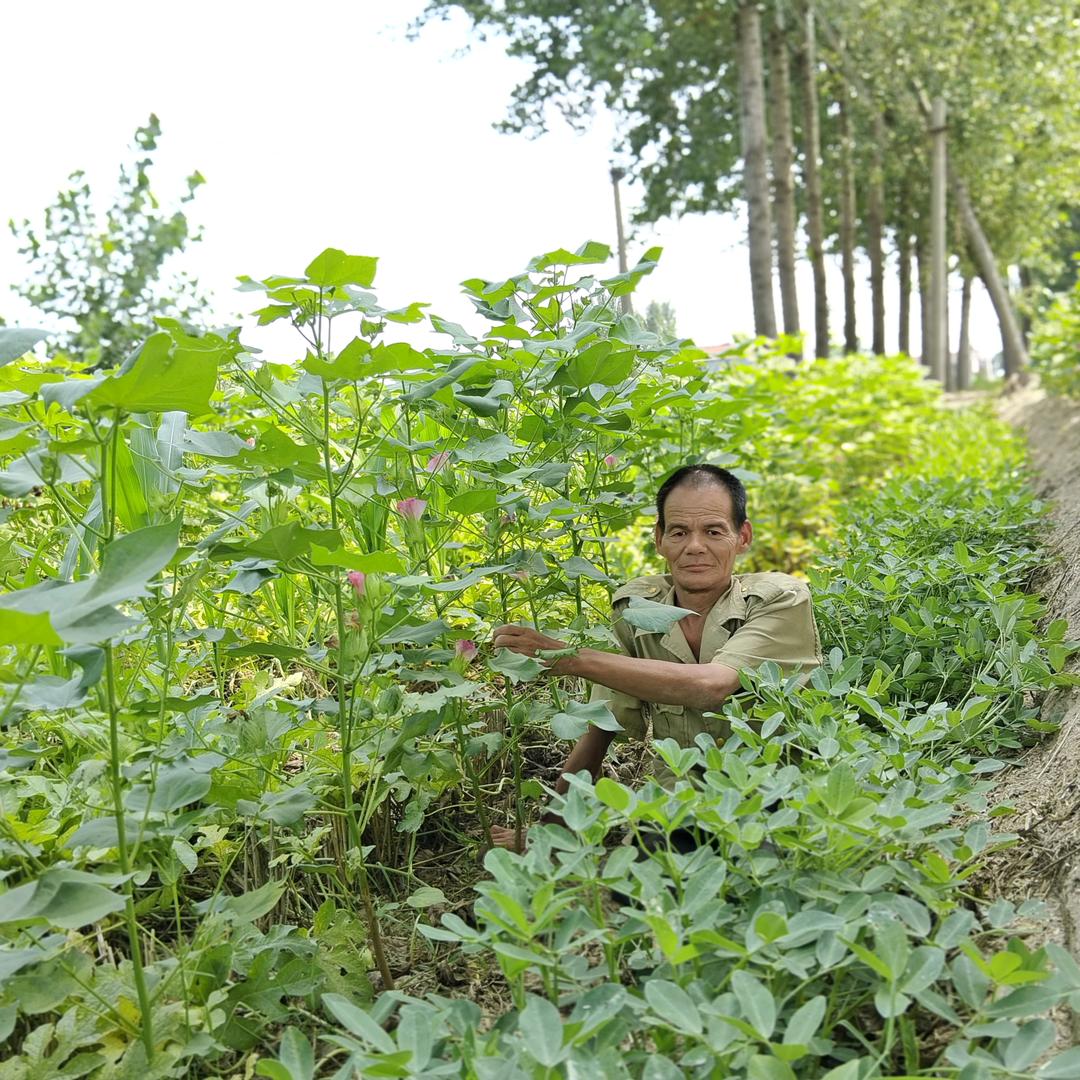 残疾四哥（中午11点40开播）