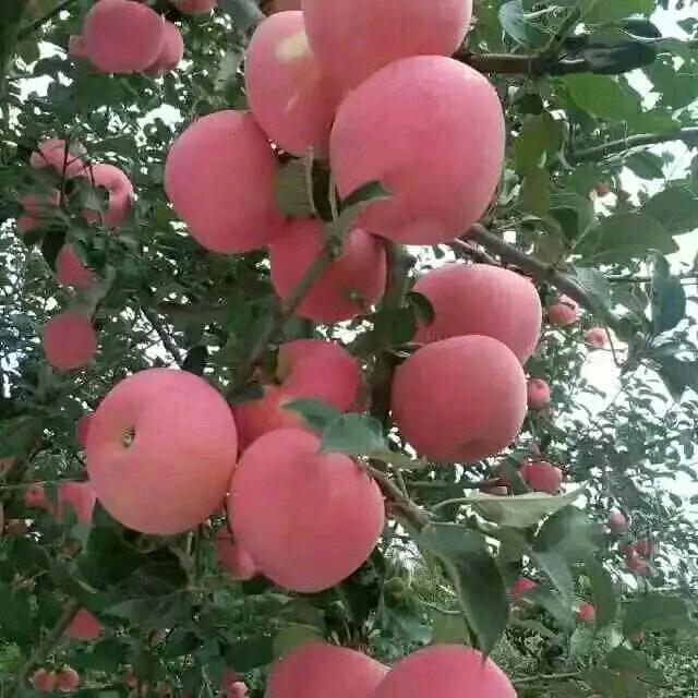 把烦恼忘掉