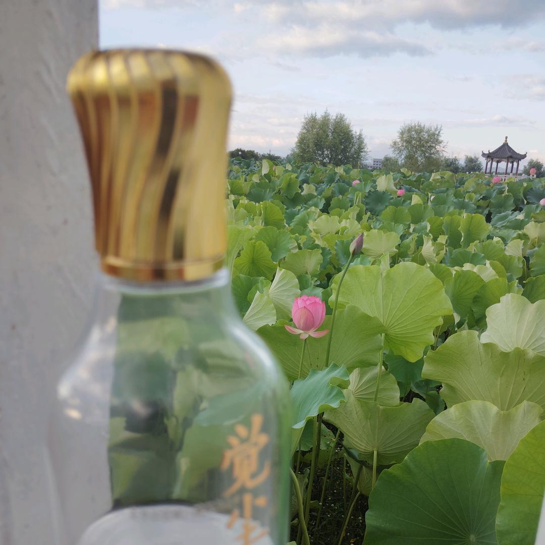感觉有点甜