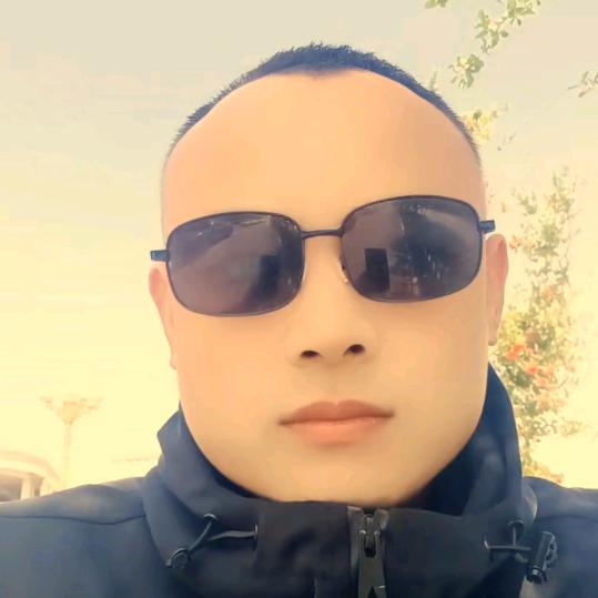 刘龙