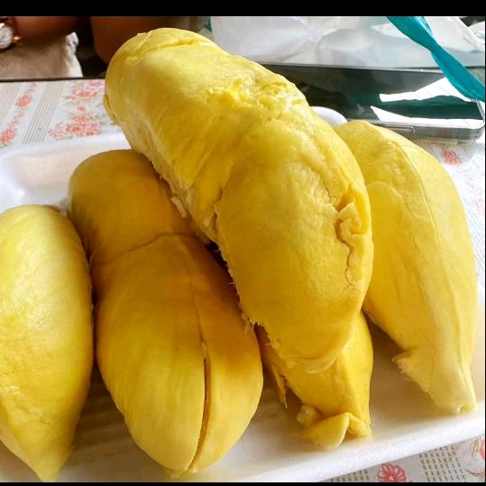 长春市高新区绿地城蚂蚁生鲜，零售团购批发