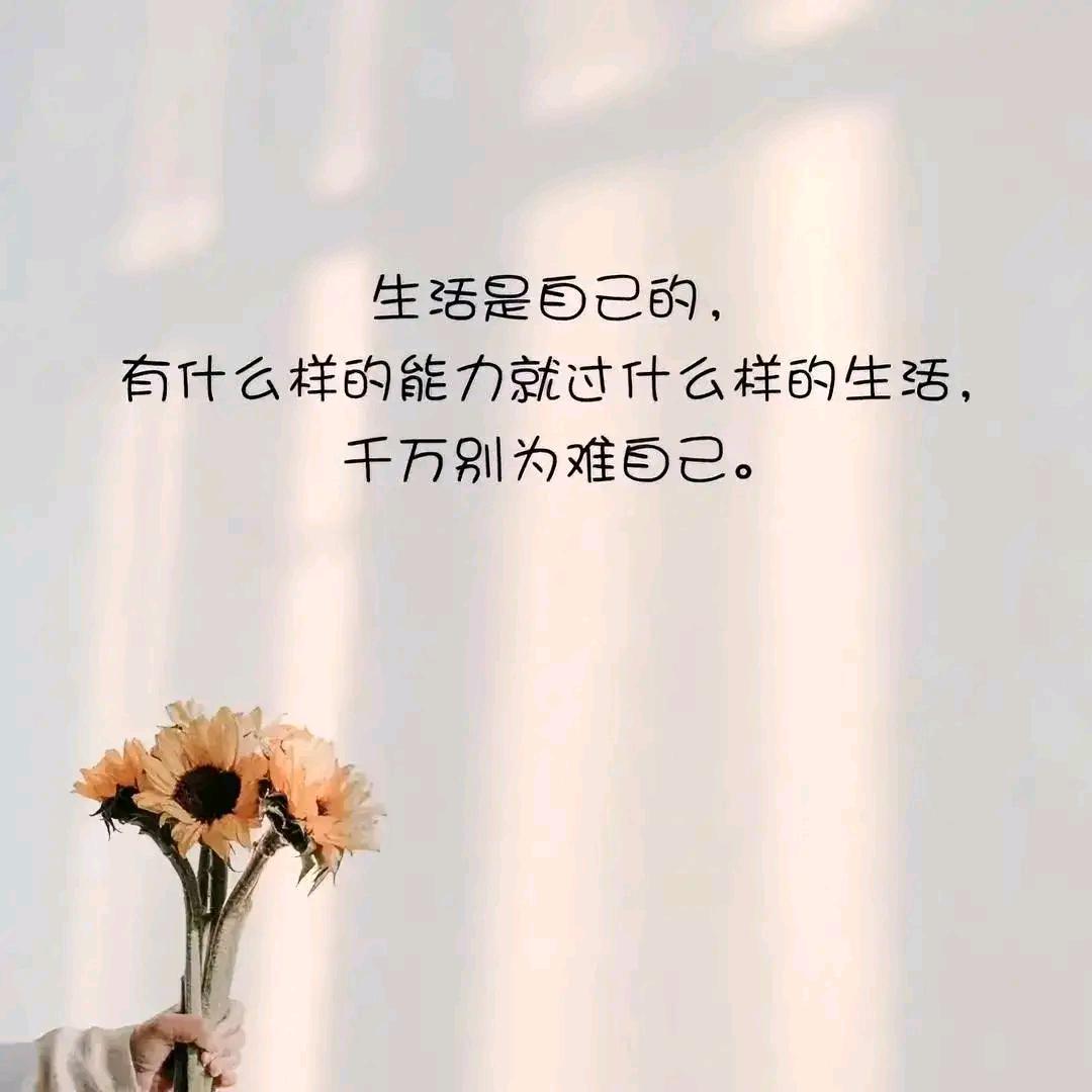 原来你只是过客