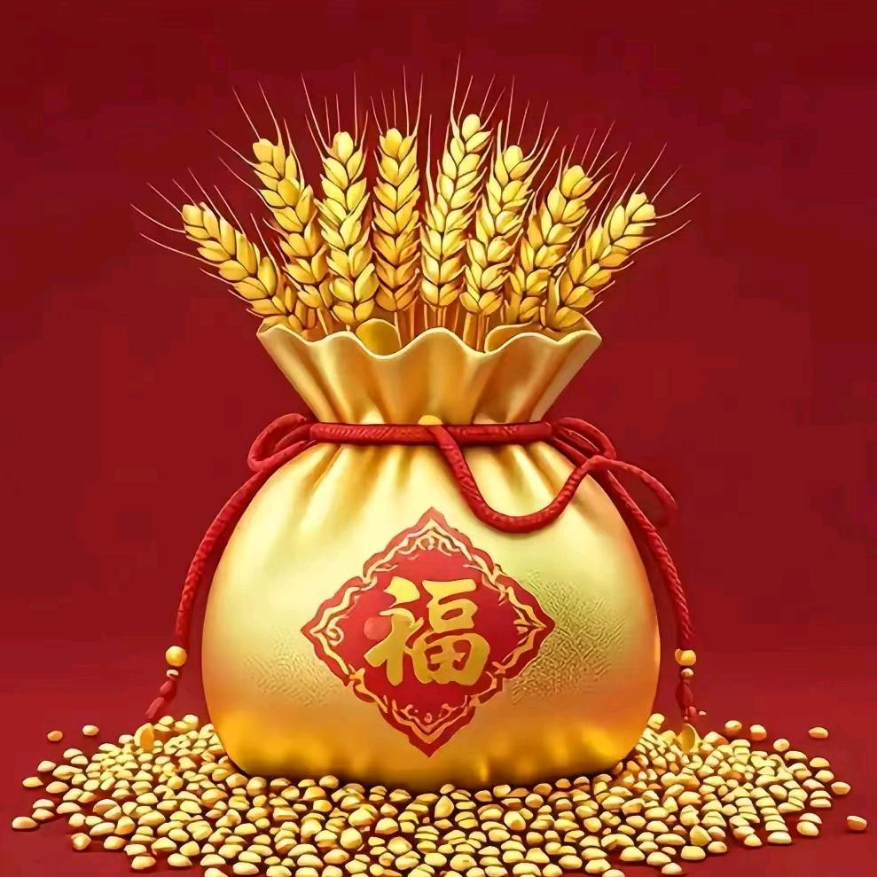 何阿姨