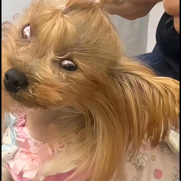 ᰔᩚ拾