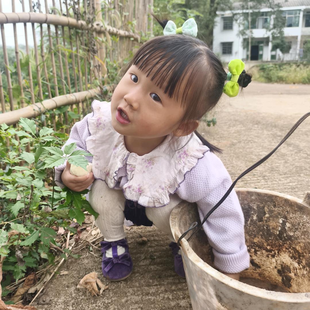 麦子