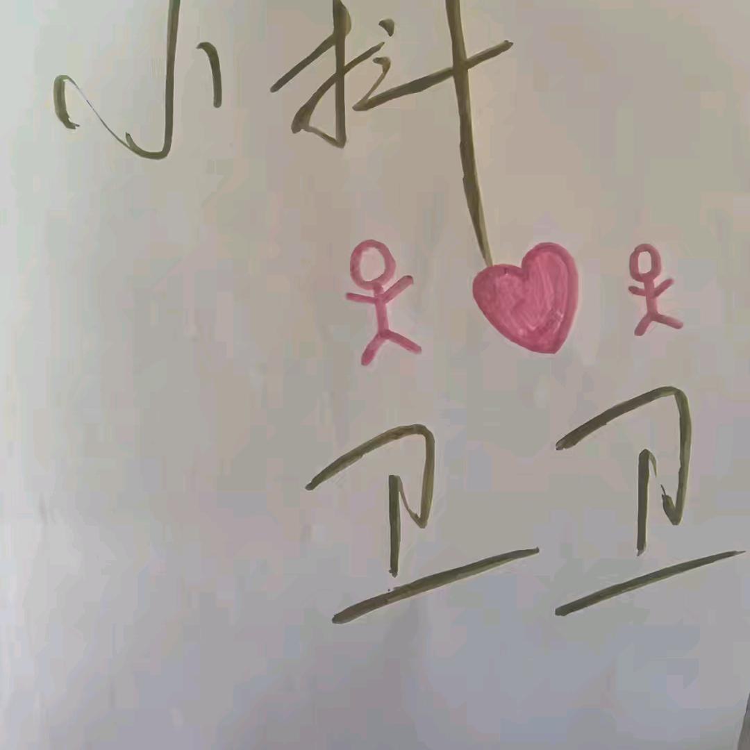 卫卫的小哥