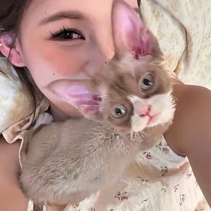 小白白