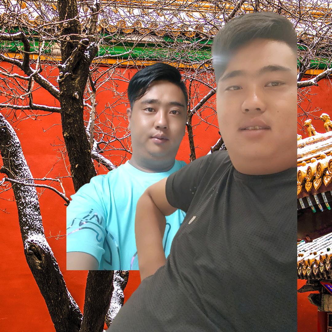 玫瑰种植，好运随身🌹🌹🌹