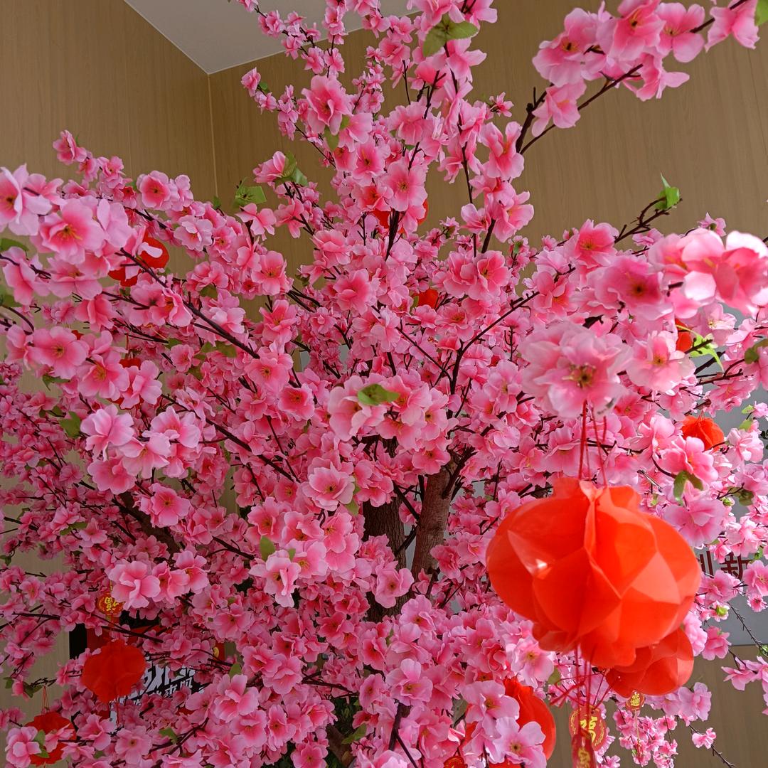 傲雪梅花