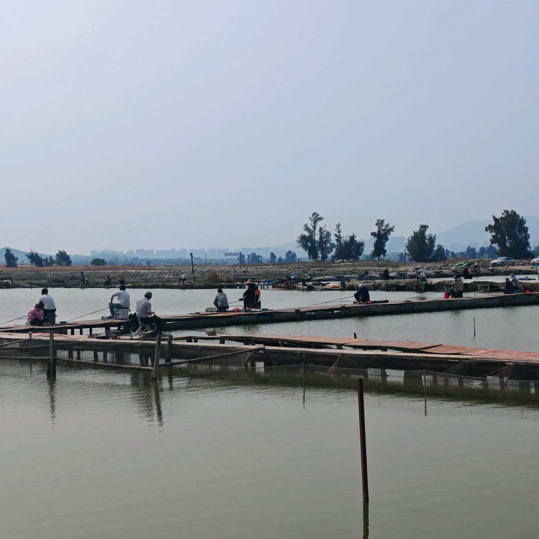 武哥台商钓鱼场