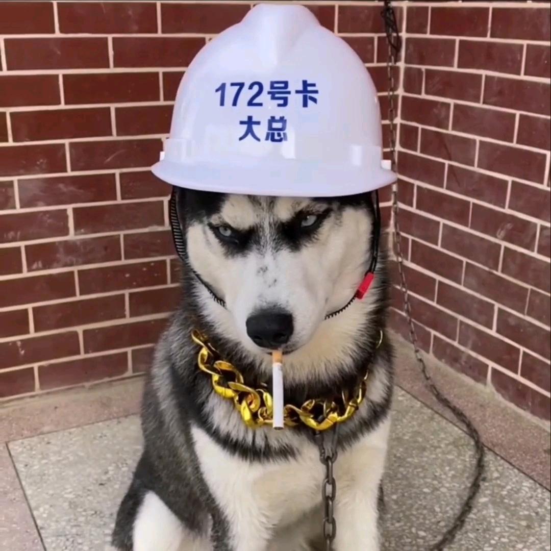 172号卡【大钻】