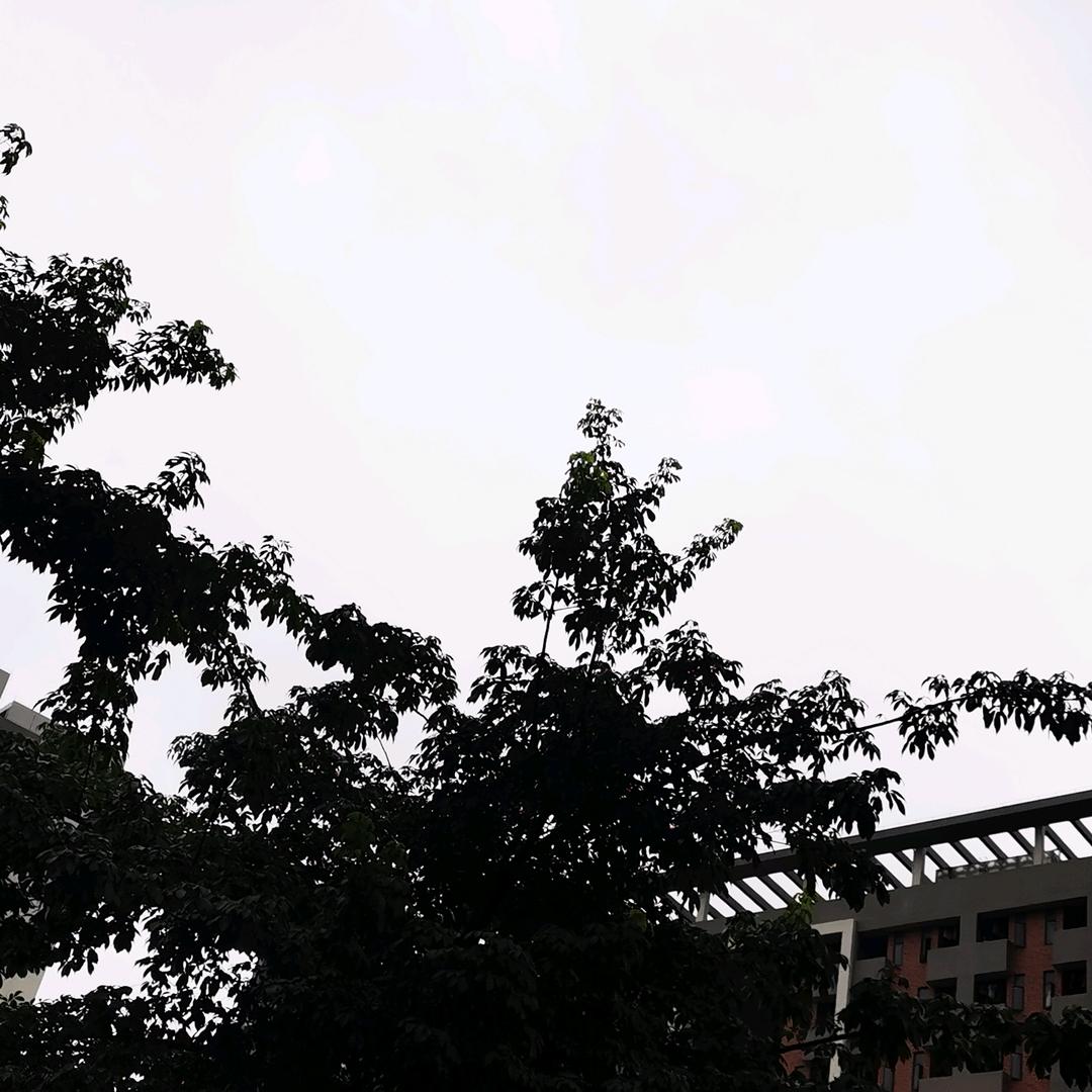 @倩