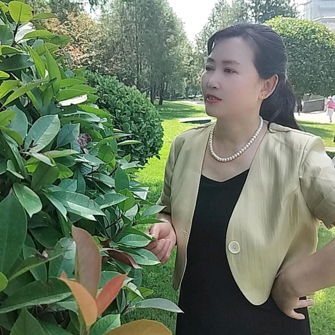 商洛凤姐