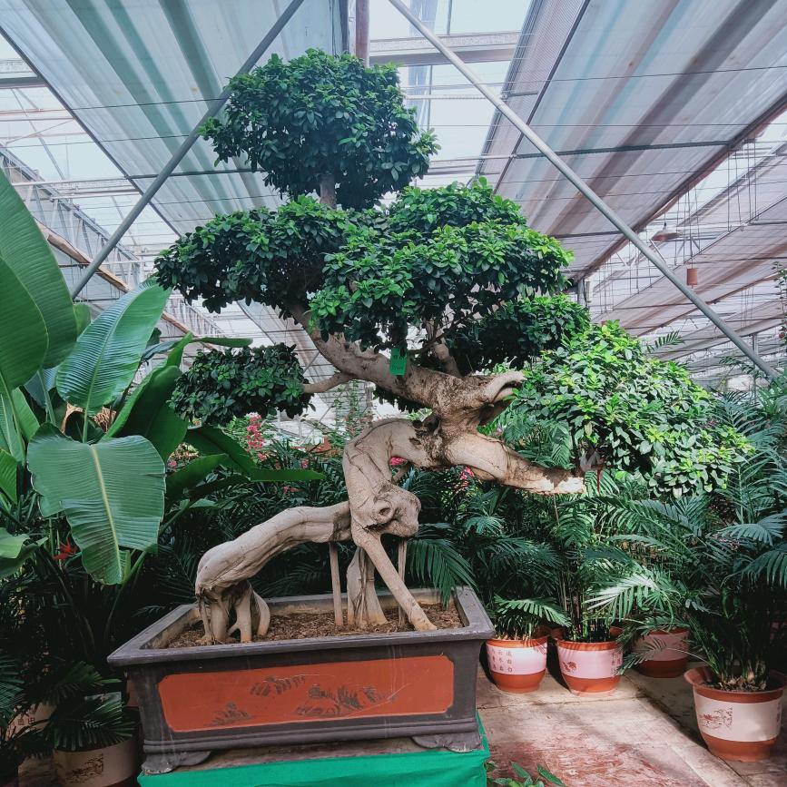 重义町粮站对面 改改生鲜