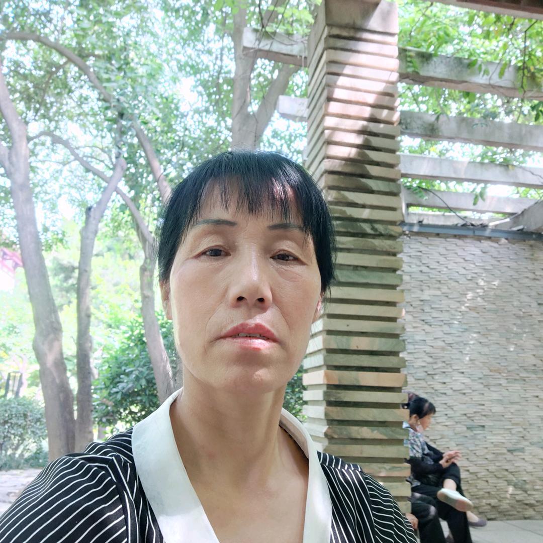 琴声飞扬