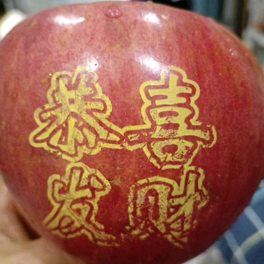 你若盛开，蝴蝶自来