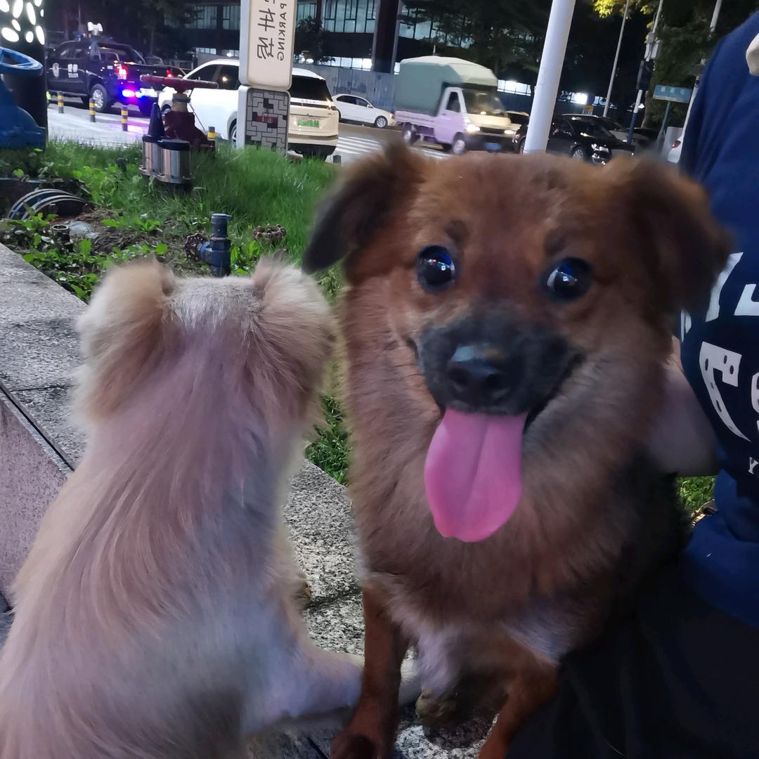 🌈团团圆圆❤️🍀