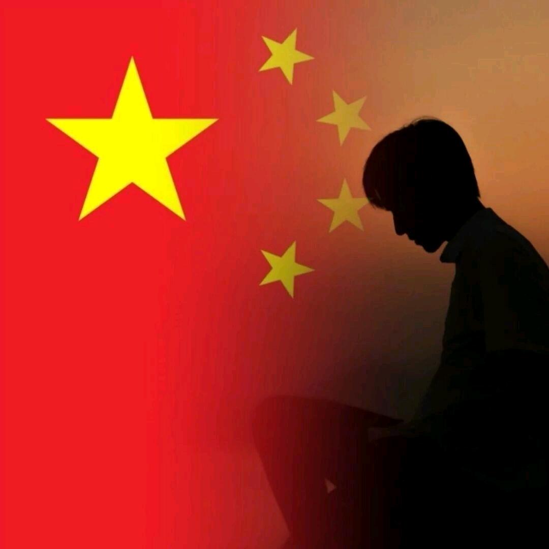 晓晓鹏飞