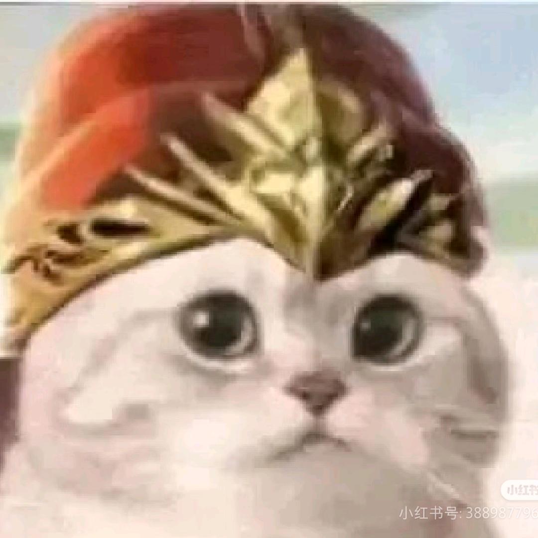 重生之我在三国匡扶汉室