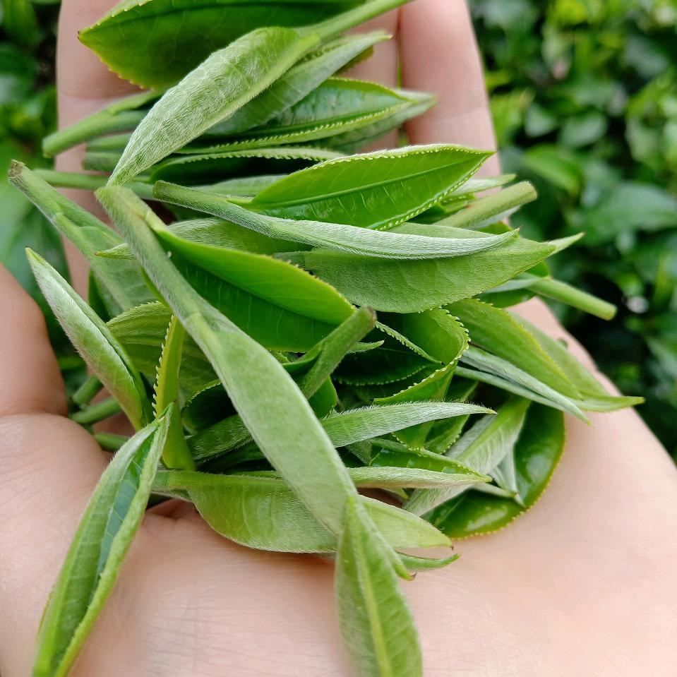 英美茶庄🌸李小姐