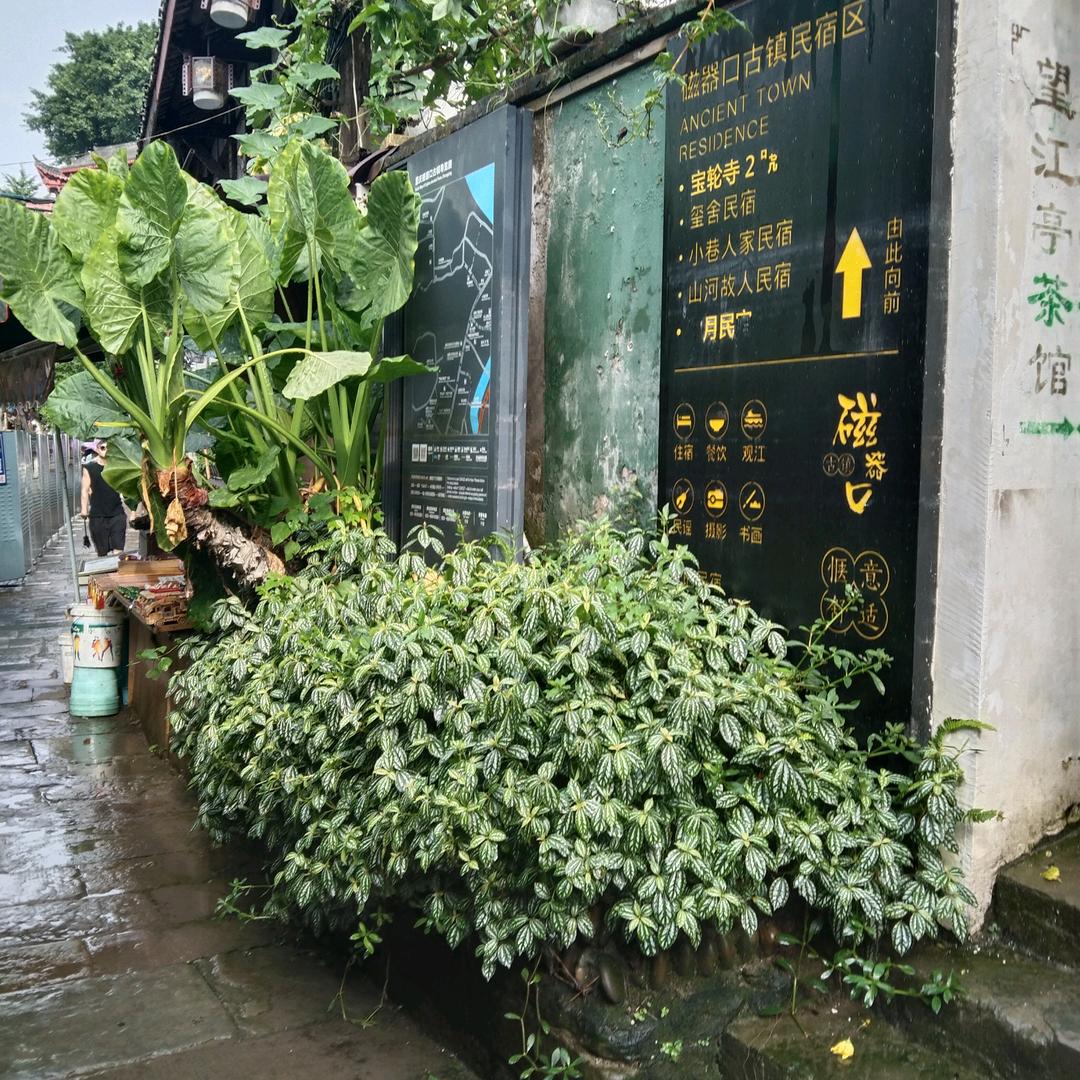 过好当下