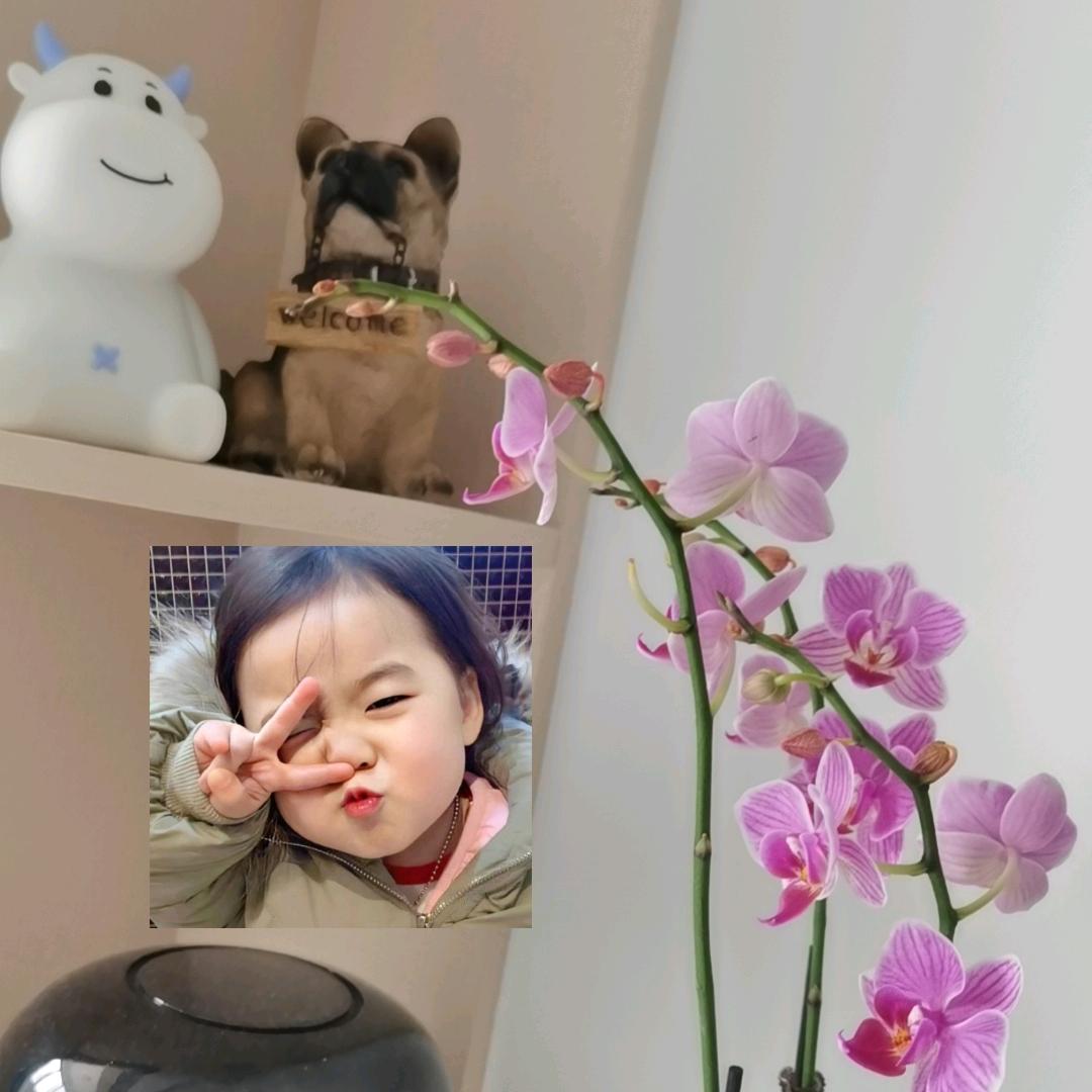 许姐