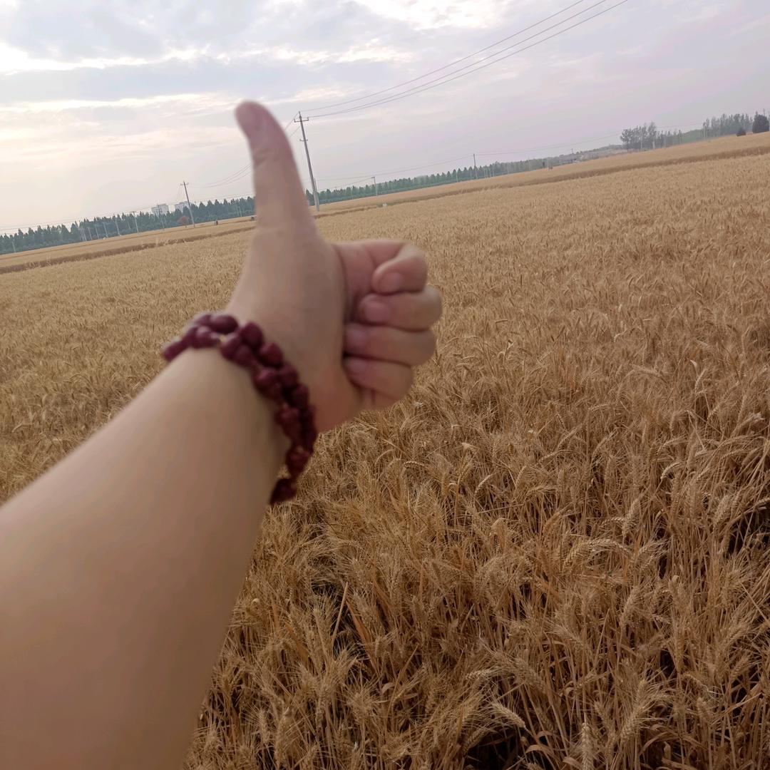 🍄管你是谁😎跟我没关系🍄